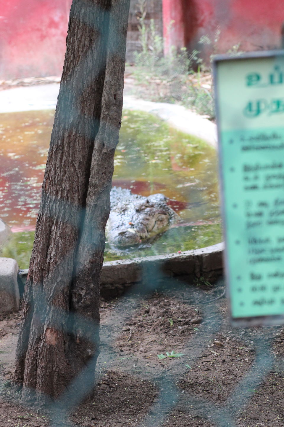 Photo of Guindy National Park, Chennai by Misha