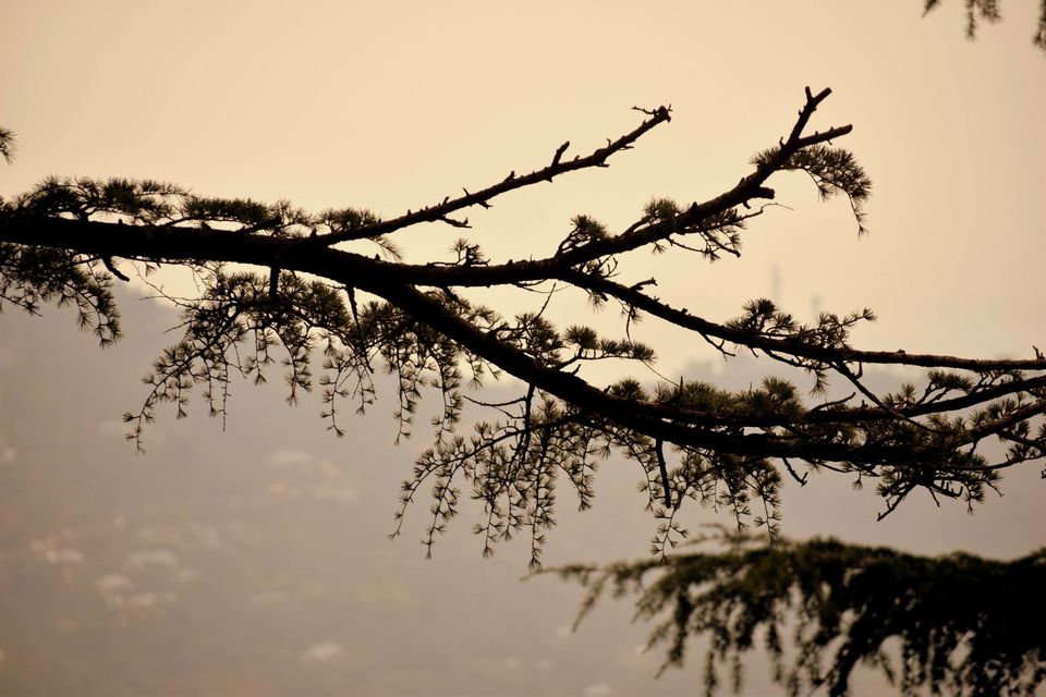 Photo of Delhi to Mcleodganj: Solo Biking 12/18 by NIKHIL KARMACHANDRAN