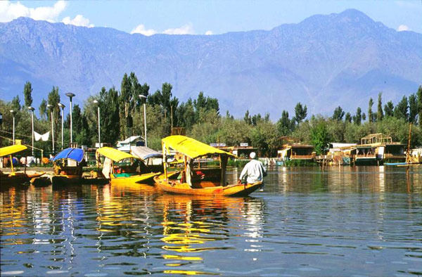 Photo of The Beautiful Valley of Kashmir - Through My Lens by Ankita Arora