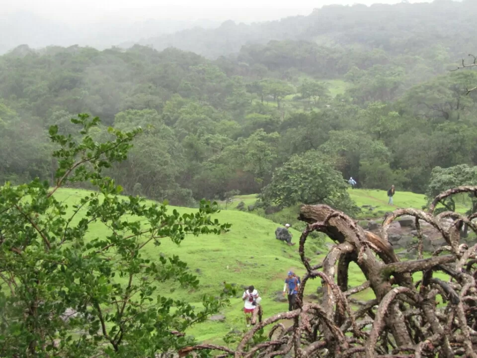Photo of Lonavala to Bhimashankar - The life empowering trek! by Sangeeta Kumari