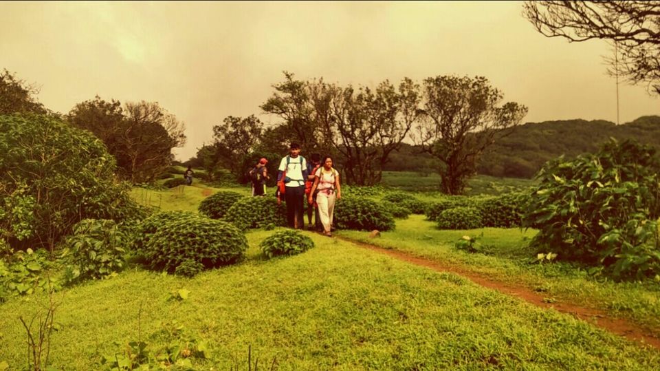 Photo of Lonavala to Bhimashankar - The life empowering trek! by Sangeeta Kumari
