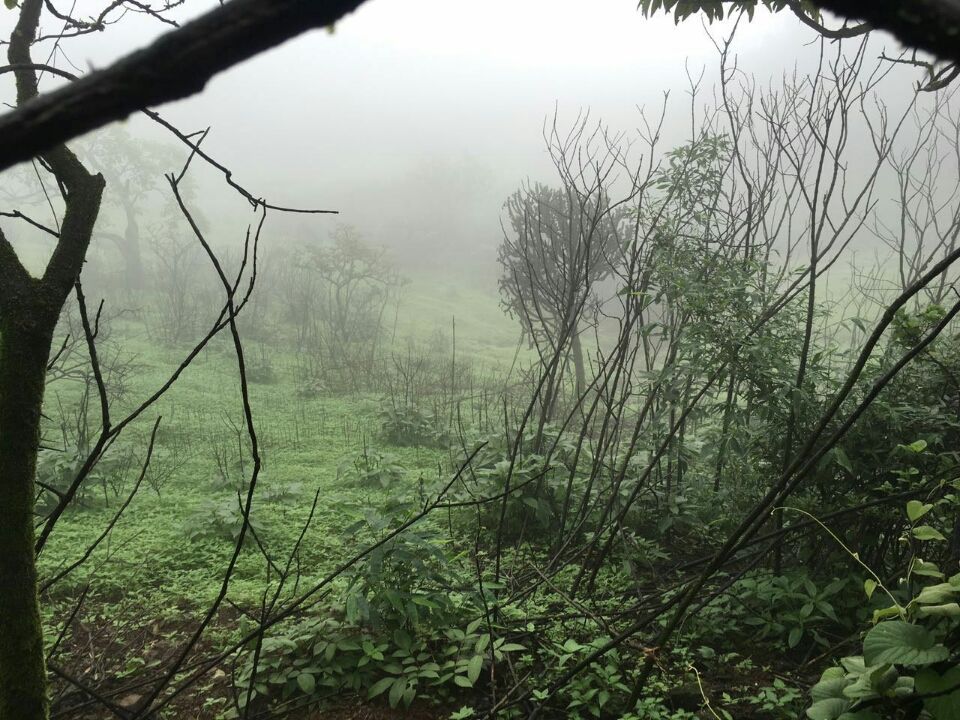 Photo of Lonavala to Bhimashankar - The life empowering trek! by Sangeeta Kumari