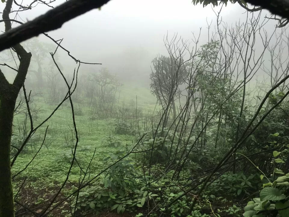 Photo of Lonavala to Bhimashankar - The life empowering trek! by Sangeeta Kumari