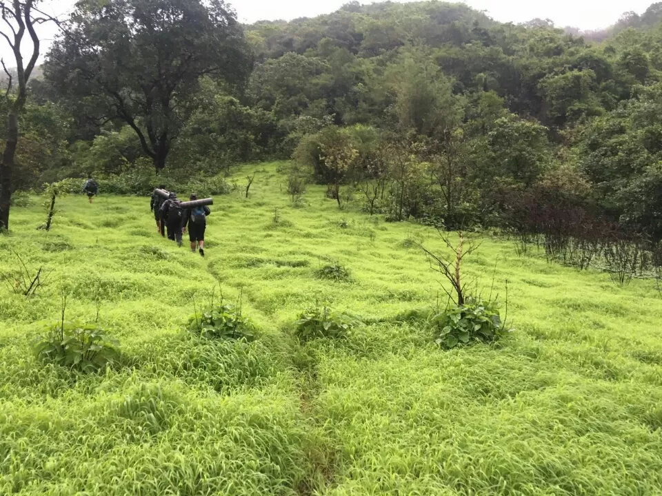Photo of Lonavala to Bhimashankar - The life empowering trek! by Sangeeta Kumari