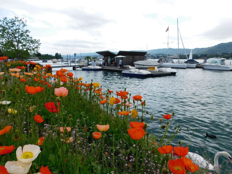 Photo of 8 things to do if you're visiting Zurich for the first time by byfoodandtravel