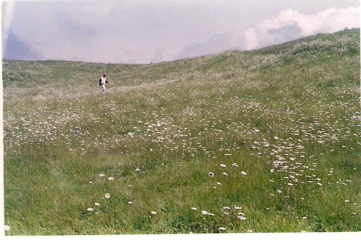 Photo of Gulmarg Gondola, Gulmarg by Trisha Mahajan