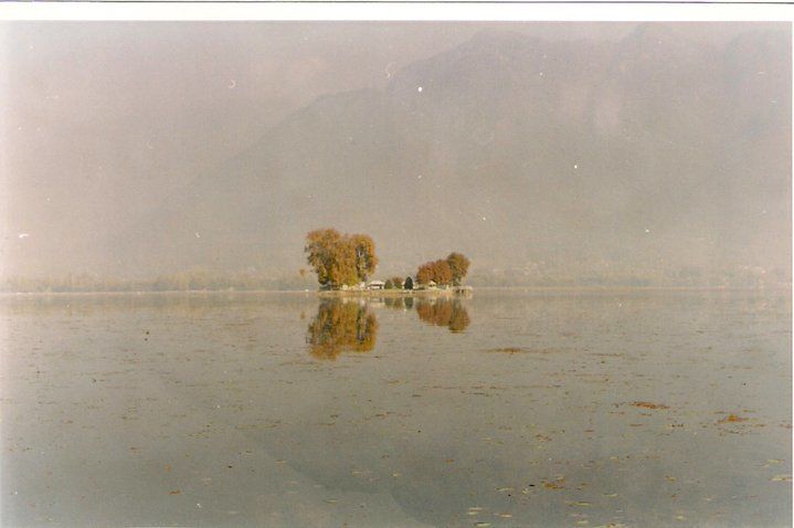 Photo of In and around Srinagar - heaven on Earth 2/21 by Trisha Mahajan