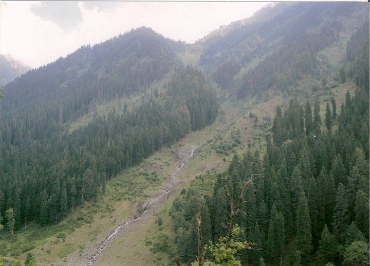 Photo of In and around Srinagar - heaven on Earth 4/21 by Trisha Mahajan