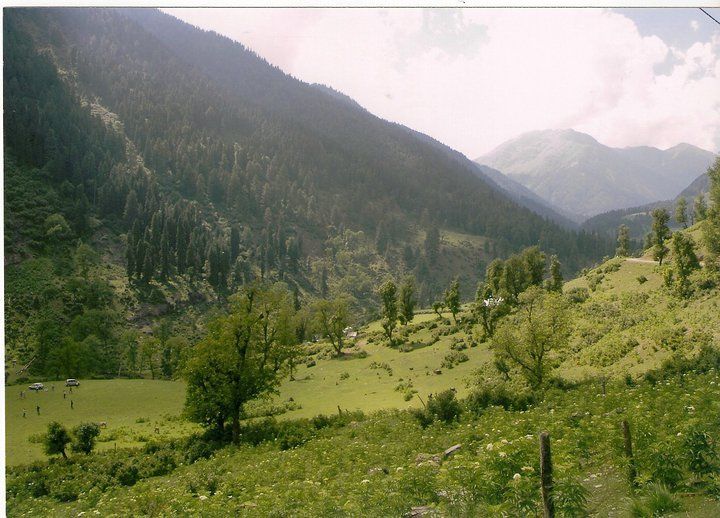 Photo of In and around Srinagar - heaven on Earth 6/21 by Trisha Mahajan