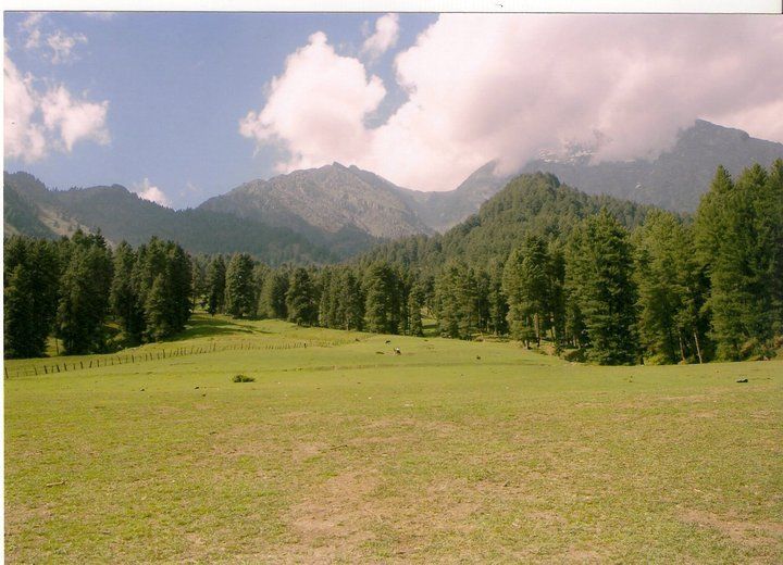 Photo of In and around Srinagar - heaven on Earth 8/21 by Trisha Mahajan