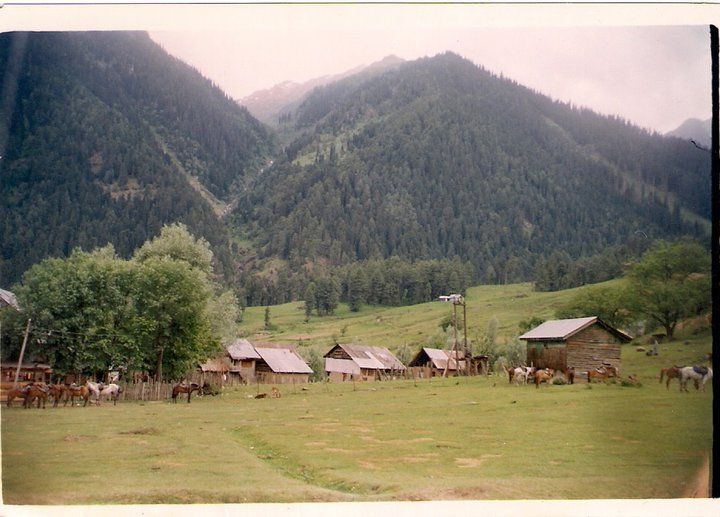 Photo of In and around Srinagar - heaven on Earth 9/21 by Trisha Mahajan