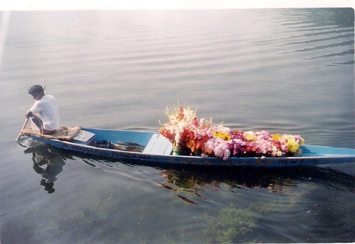 Photo of In and around Srinagar - heaven on Earth 18/21 by Trisha Mahajan