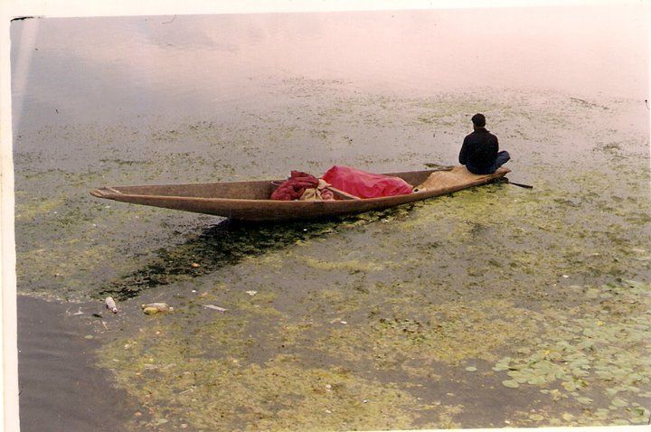 Photo of In and around Srinagar - heaven on Earth 19/21 by Trisha Mahajan