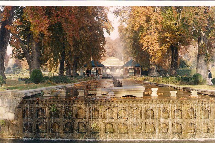 Photo of In and around Srinagar - heaven on Earth 20/21 by Trisha Mahajan