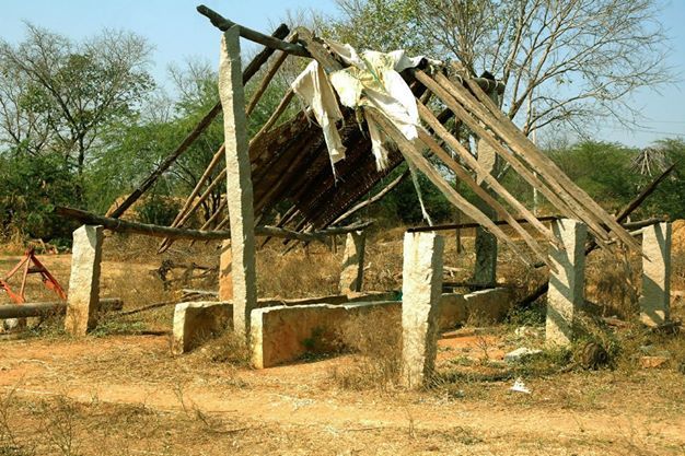 Photo of Reasons you should visit a rural village 31/44 by Trisha Mahajan