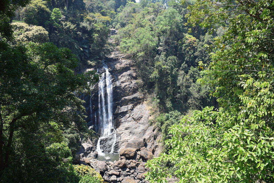 Photo of Munnar, Kerala, India by Neha Chauhan