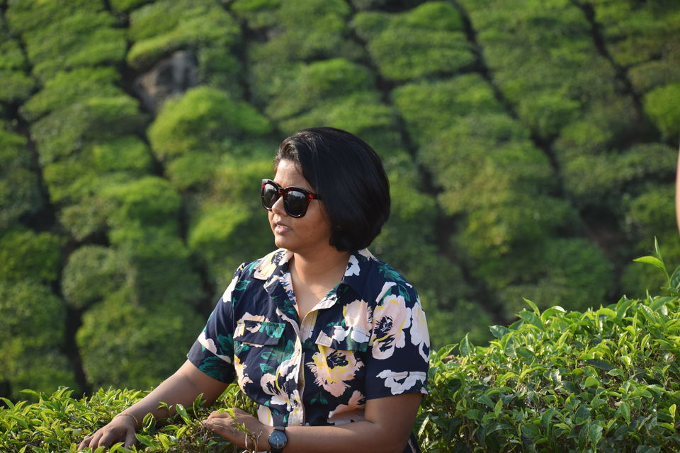 Photo of Munnar, Kerala, India by Neha Chauhan