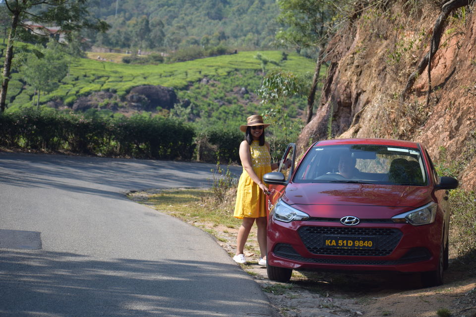 Photo of Munnar, Kerala, India by Neha Chauhan