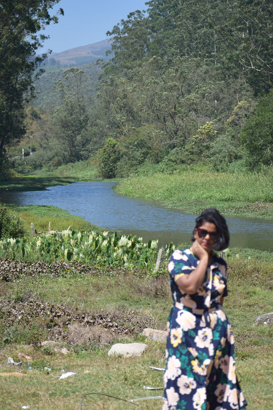 Photo of Munnar, Kerala, India by Neha Chauhan