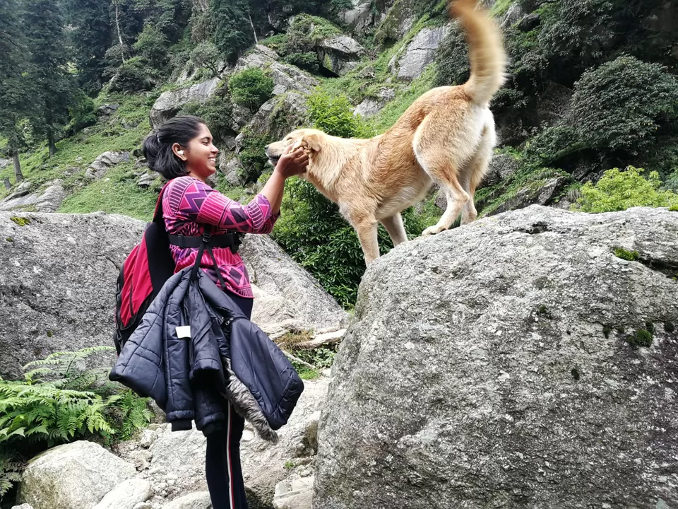 Photo of Kareri Lake, Dhauladhar Ranges: Blissful Wilderness by Deepa Paramguru