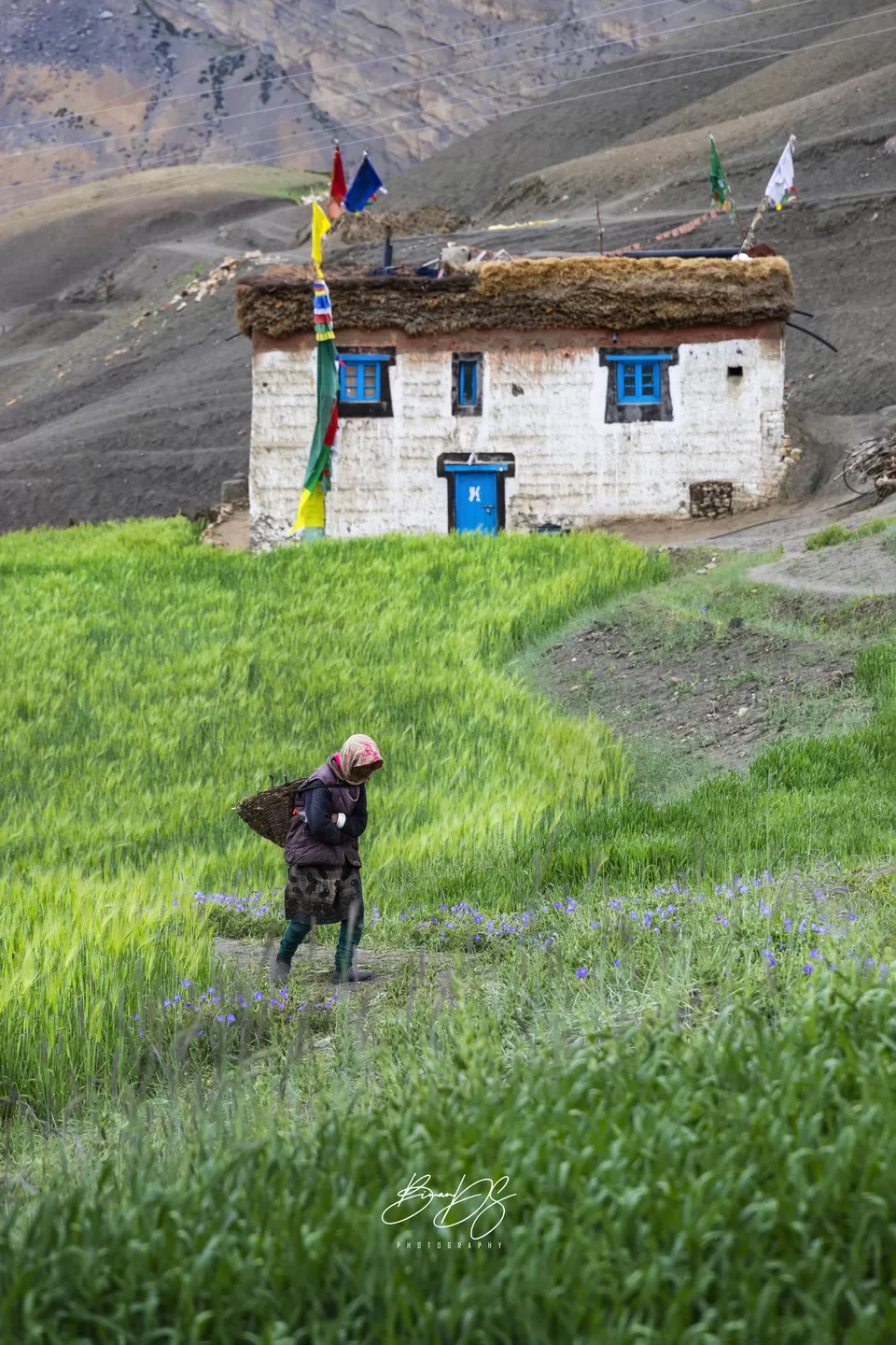 Photo of Langza, Himachal Pradesh, India by Biman Dey Sarkar