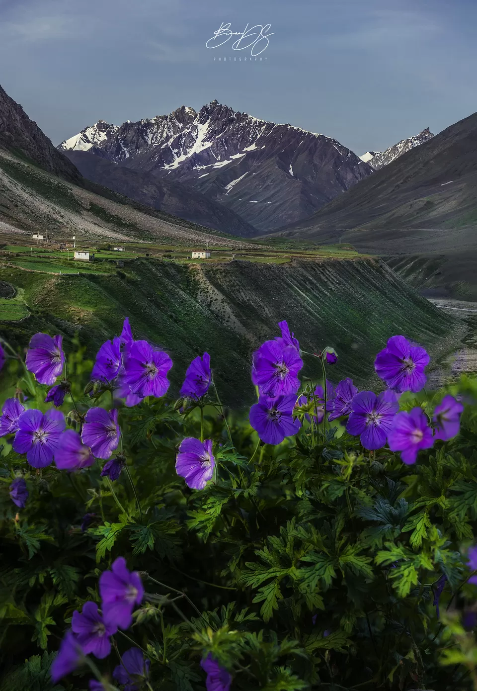 Photo of Pin Valley National Park, Himachal Pradesh, India by Biman Dey Sarkar