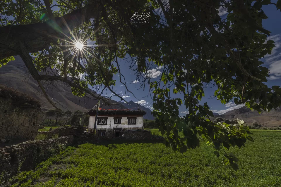 Photo of Maneyogma, Himachal Pradesh, India by Biman Dey Sarkar