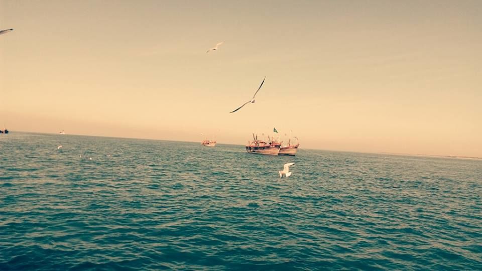 Photo of Glimpse Of Glorious Gujarat !!! 3/18 by mohit sharma