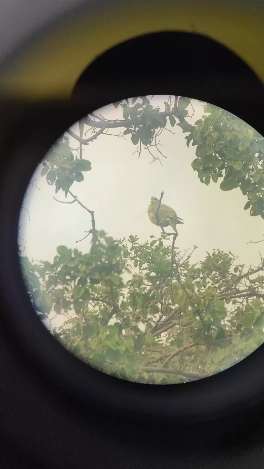 Photo of Bharatpur Bird Sanctuary by Hemalee
