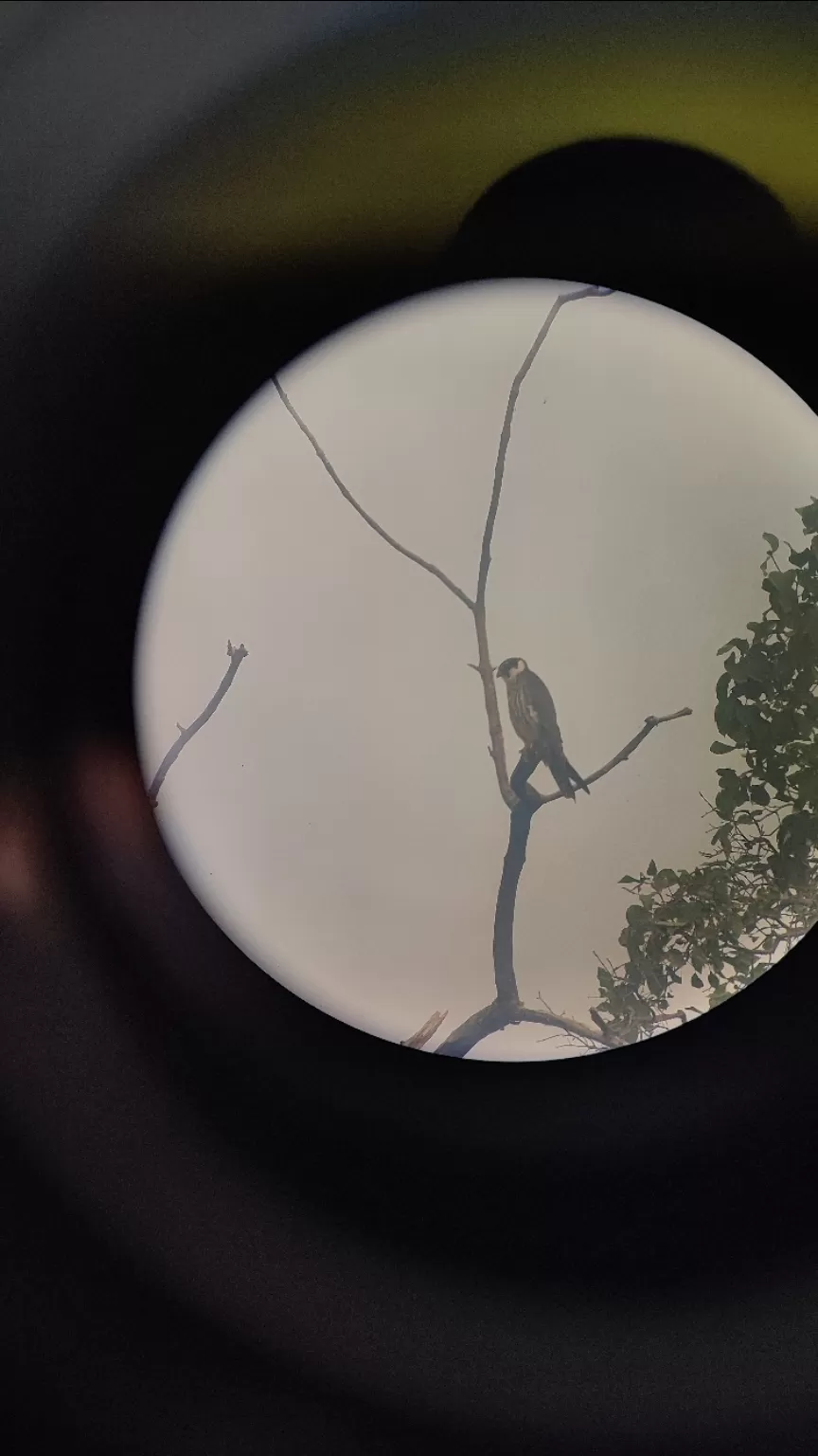 Photo of Bharatpur Bird Sanctuary by Hemalee