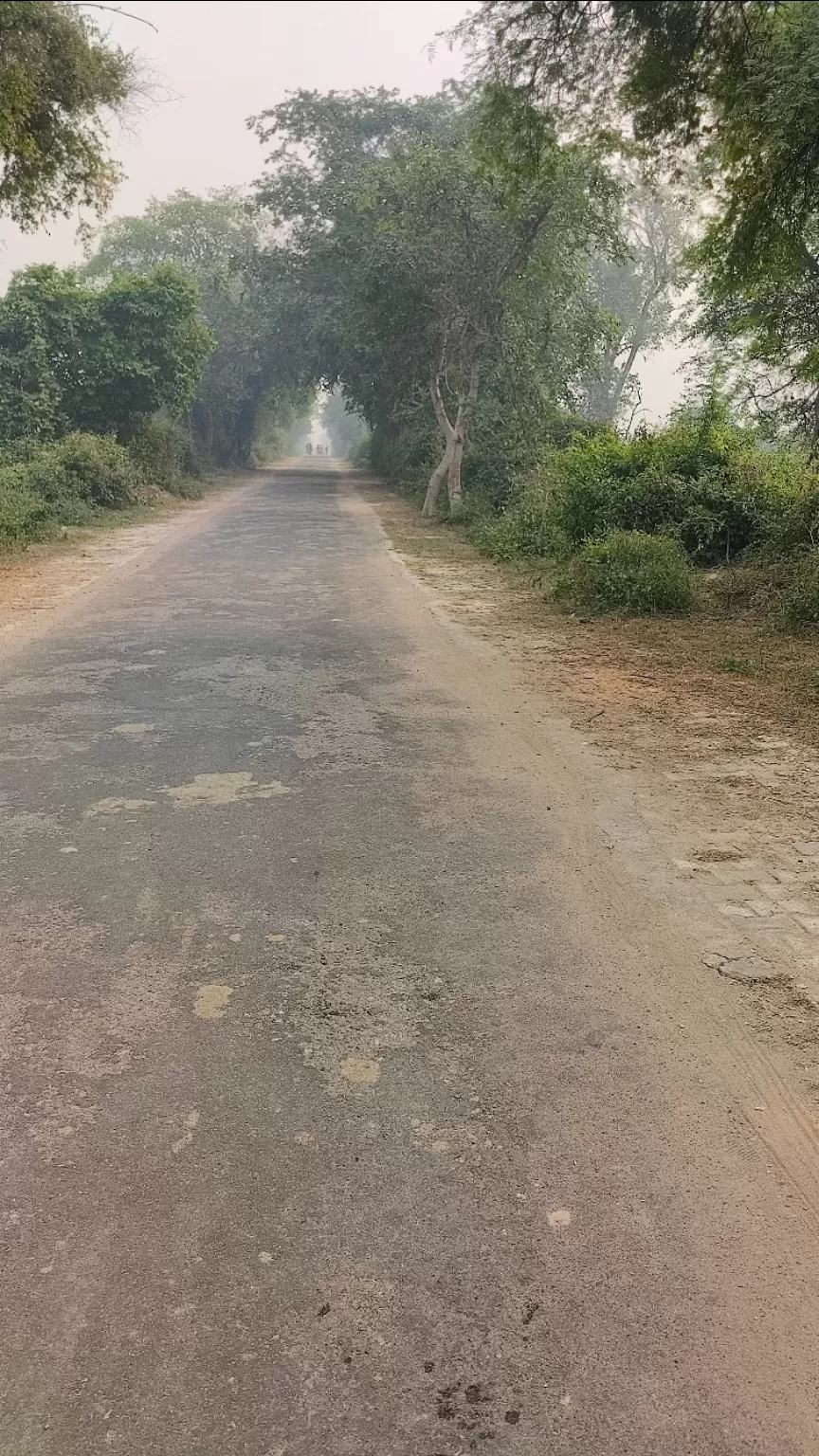 Photo of Bharatpur Bird Sanctuary by Hemalee