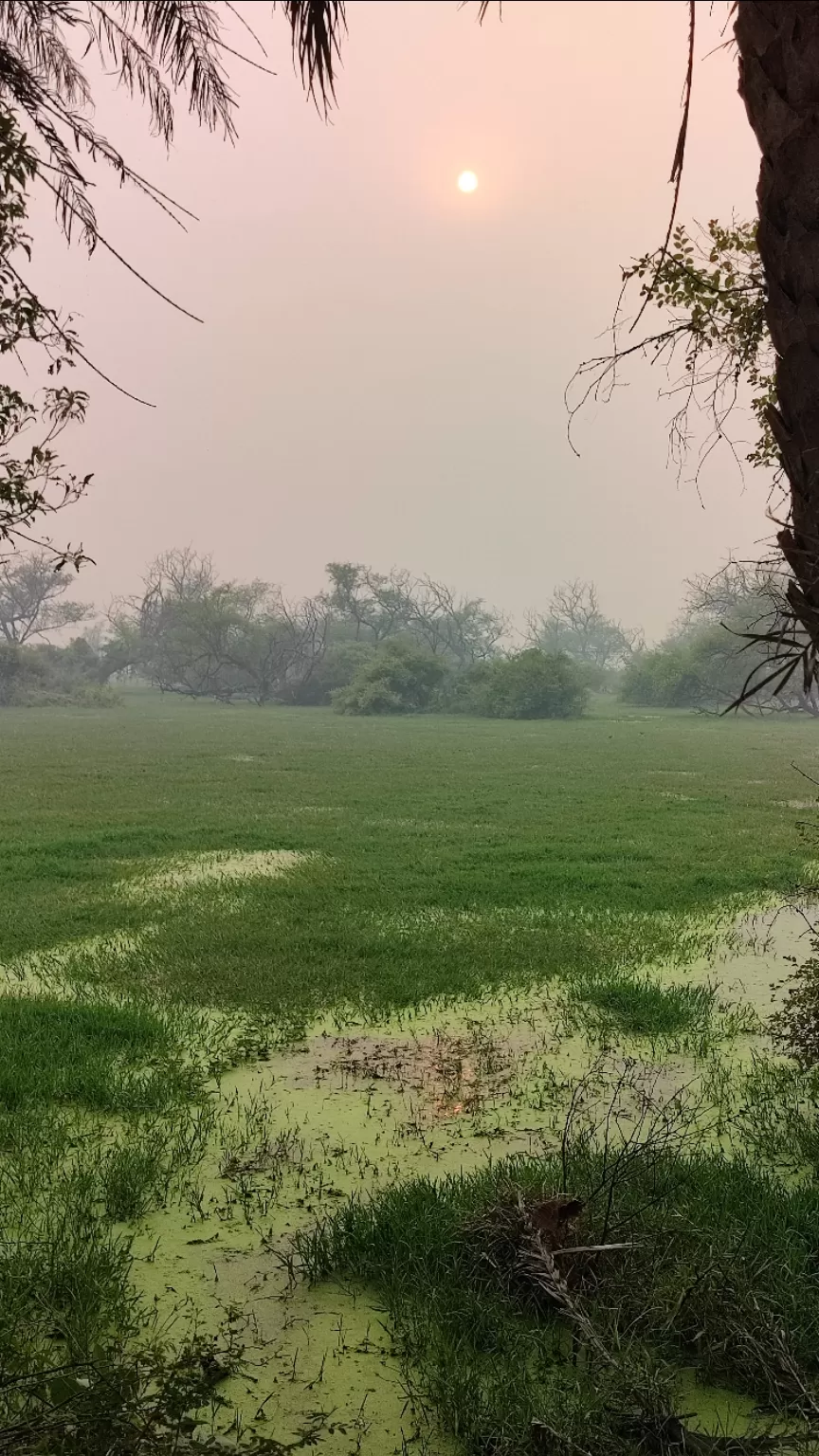 Photo of Bharatpur Bird Sanctuary by Hemalee
