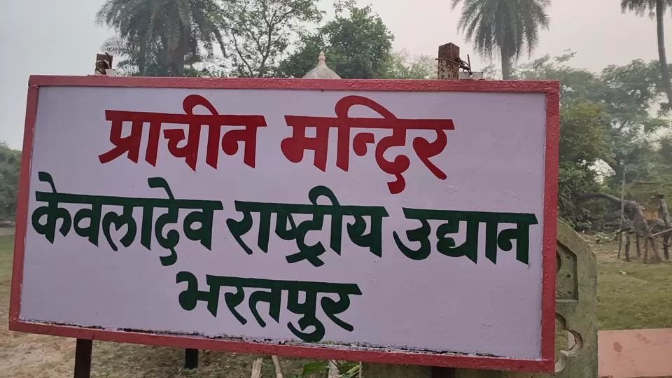 Photo of Bharatpur Bird Sanctuary by Hemalee