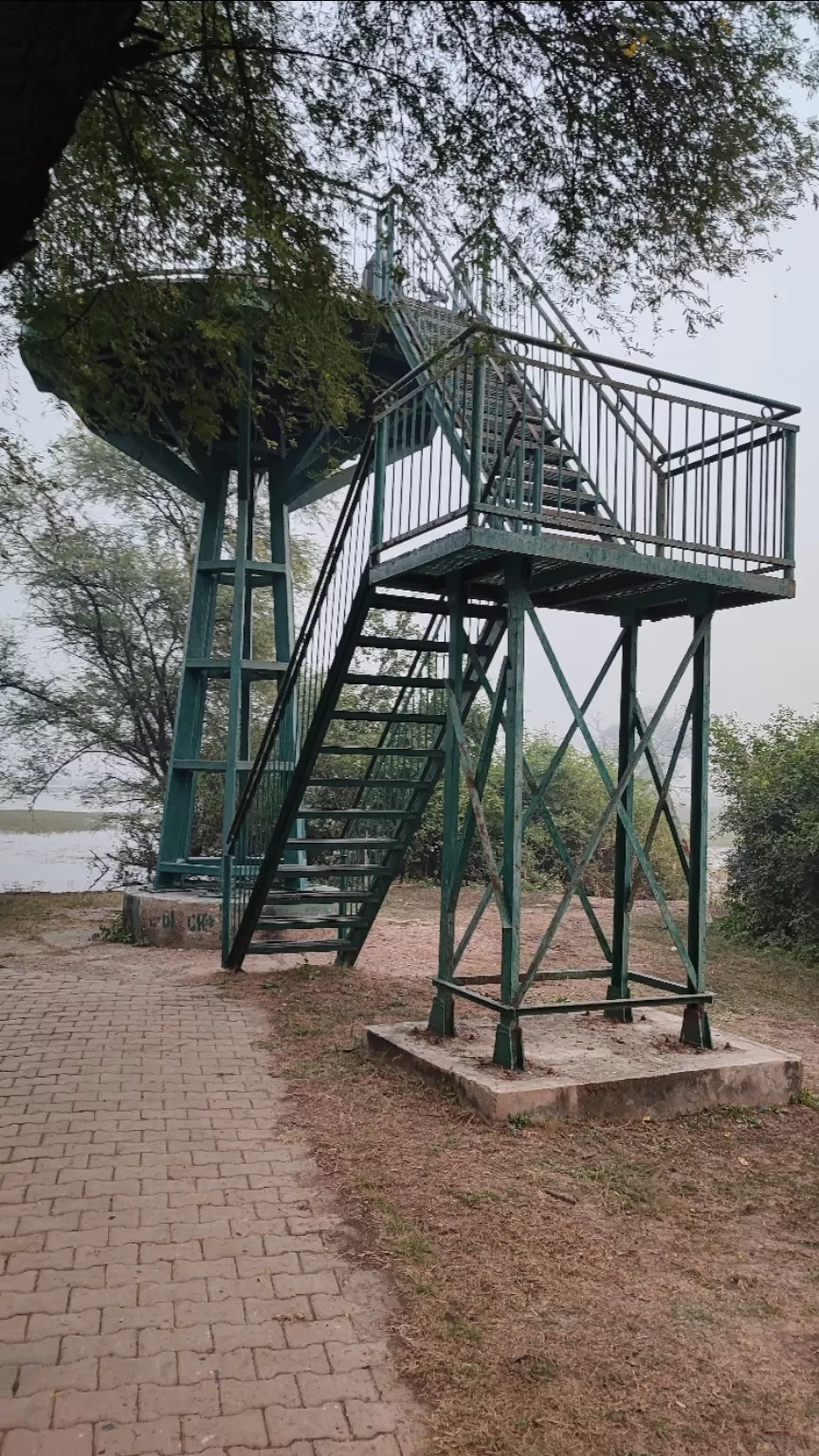 Photo of Bharatpur Bird Sanctuary by Hemalee