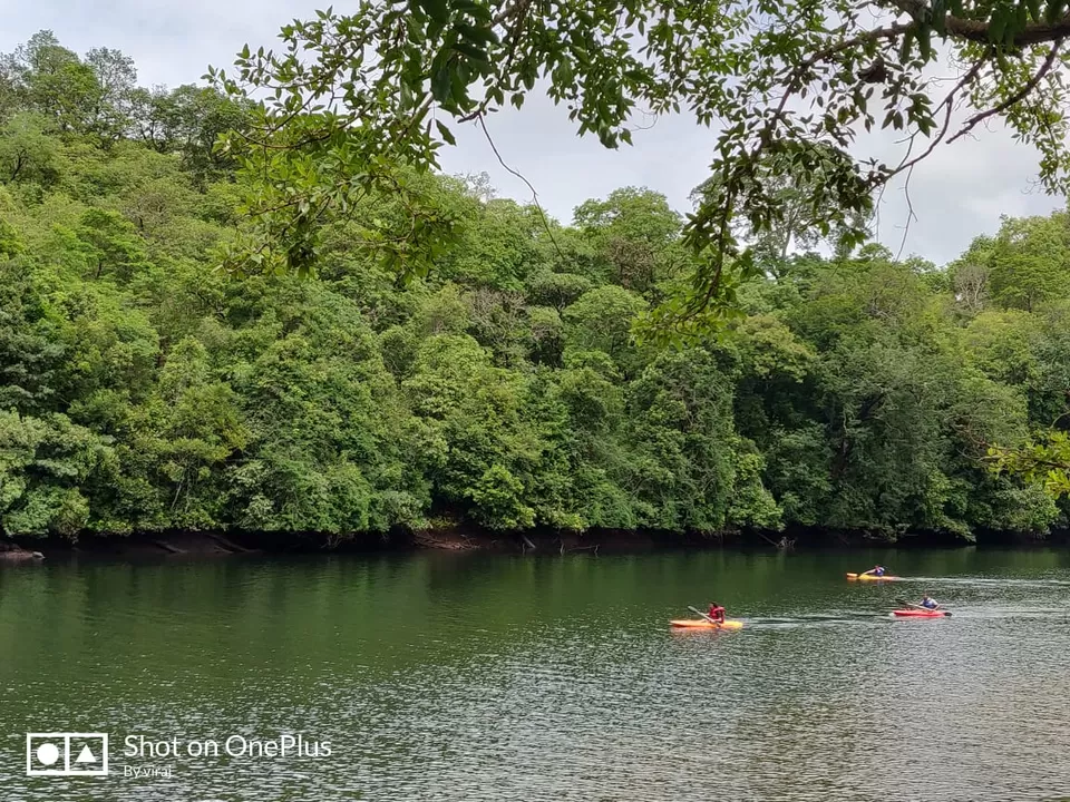 Photo of Dandeli Kali River Homestay, near Raghavendra Swamy Math Township, Dandeli, Karnataka, India by Mugdha Mali