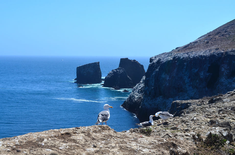 Photo of #offbeat USA #Anacapa Island, California by Bibek Chaudhuri