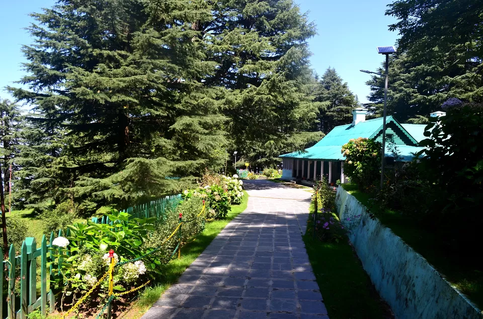 Photo of Kalatop, Himachal Pradesh, India by Bibek Chaudhuri