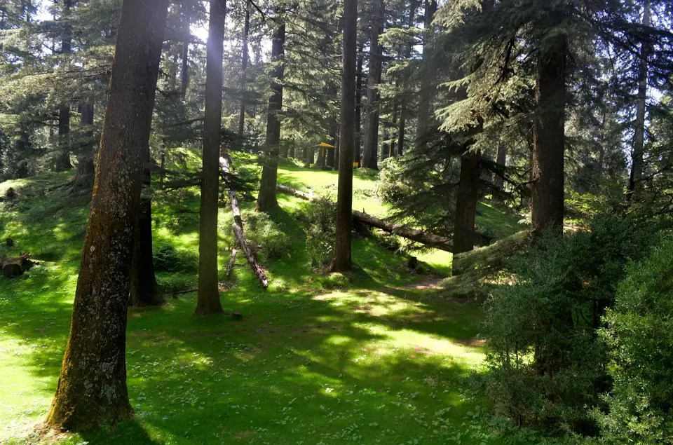 Photo of Kalatop, Himachal Pradesh, India by Bibek Chaudhuri