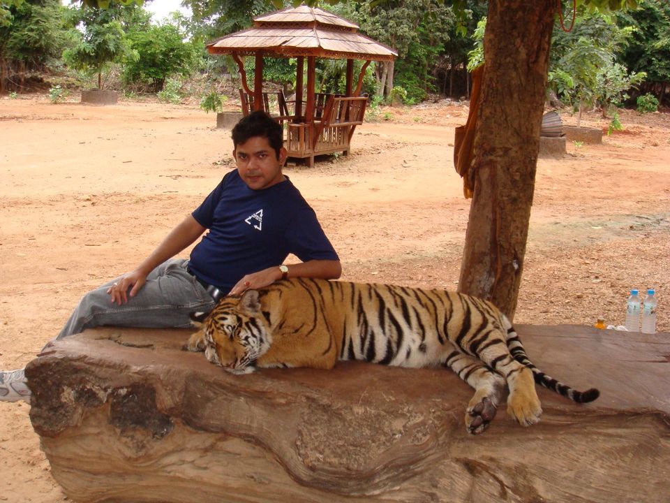 Photo of Tiger Temple, Lum Sum, Sai Yok District, Kanchanaburi, Thailand by Bibek Chaudhuri