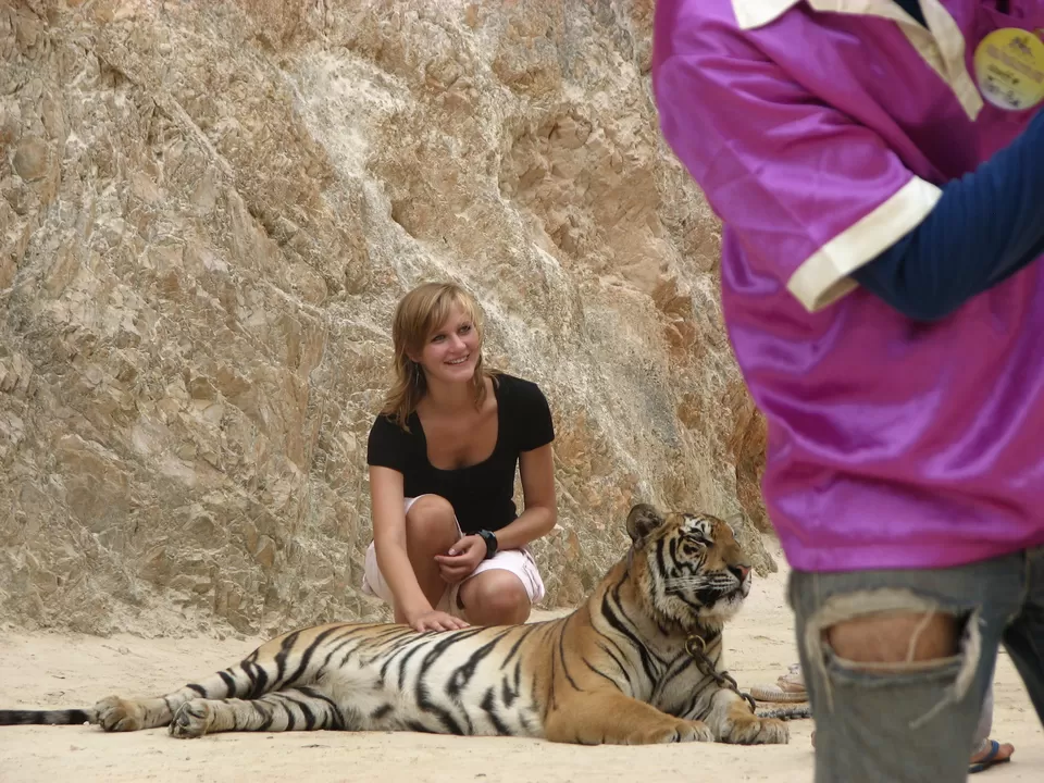 Photo of Tiger Temple, Lum Sum, Sai Yok District, Kanchanaburi, Thailand by Bibek Chaudhuri