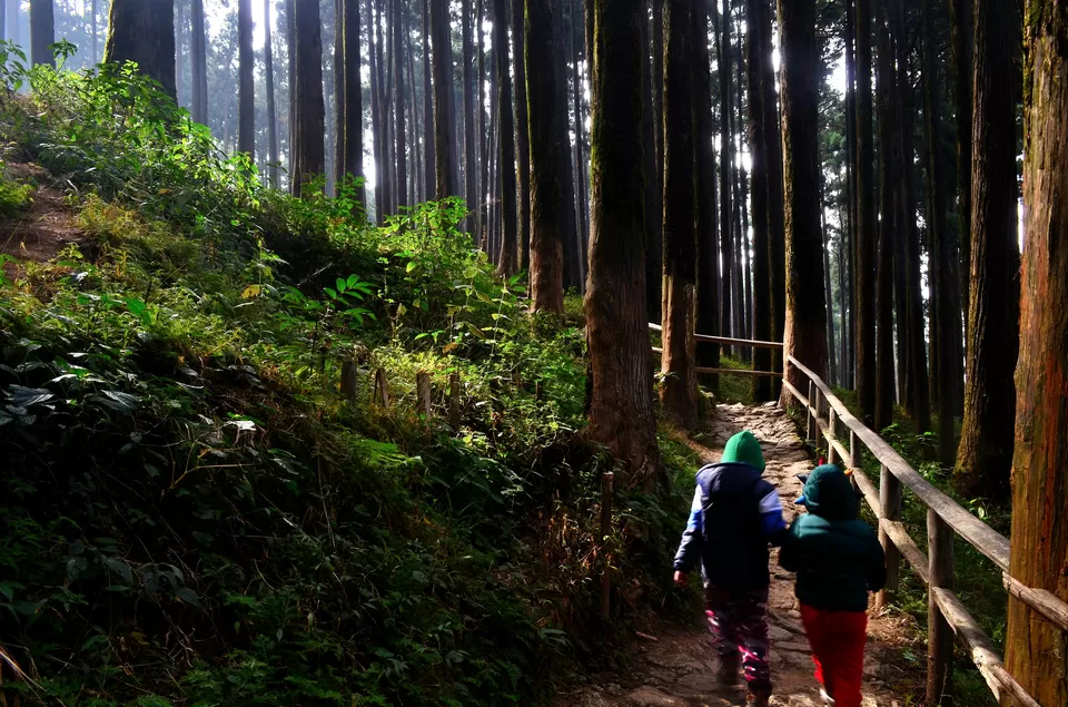 Photo of Lamahatta Eco Park, Tukdah, West Bengal, India by Bibek Chaudhuri