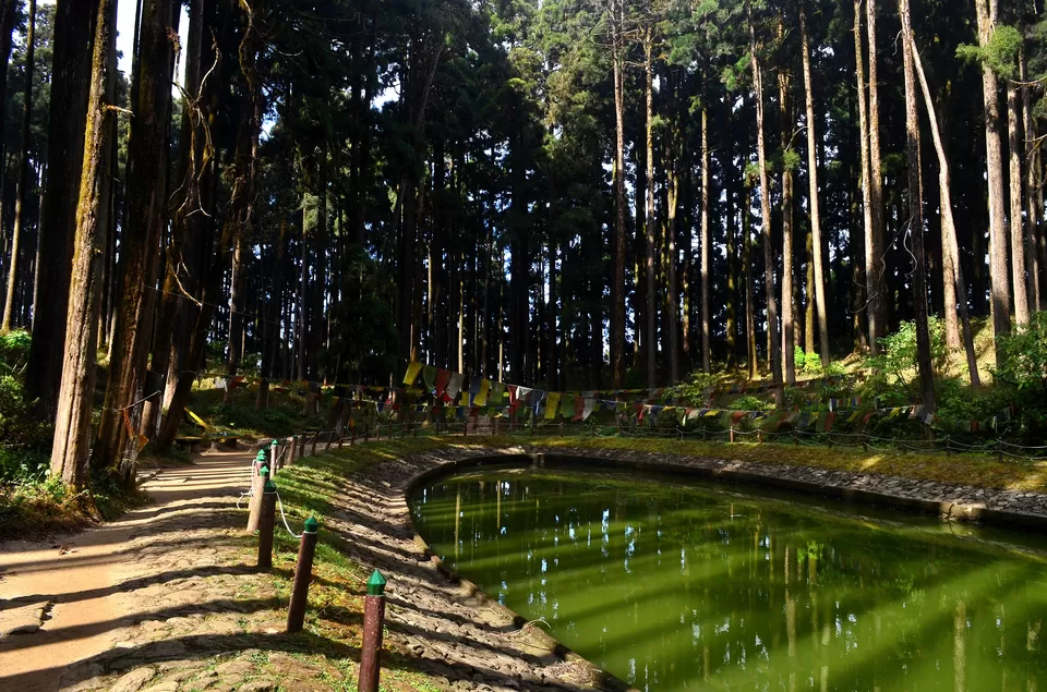 Photo of Lamahatta Eco Park, Tukdah, West Bengal, India by Bibek Chaudhuri