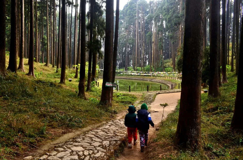Photo of Lamahatta Eco Park, Tukdah, West Bengal, India by Bibek Chaudhuri