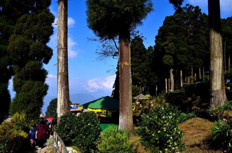 Photo of Lamahatta Eco Park, Tukdah, West Bengal, India by Bibek Chaudhuri