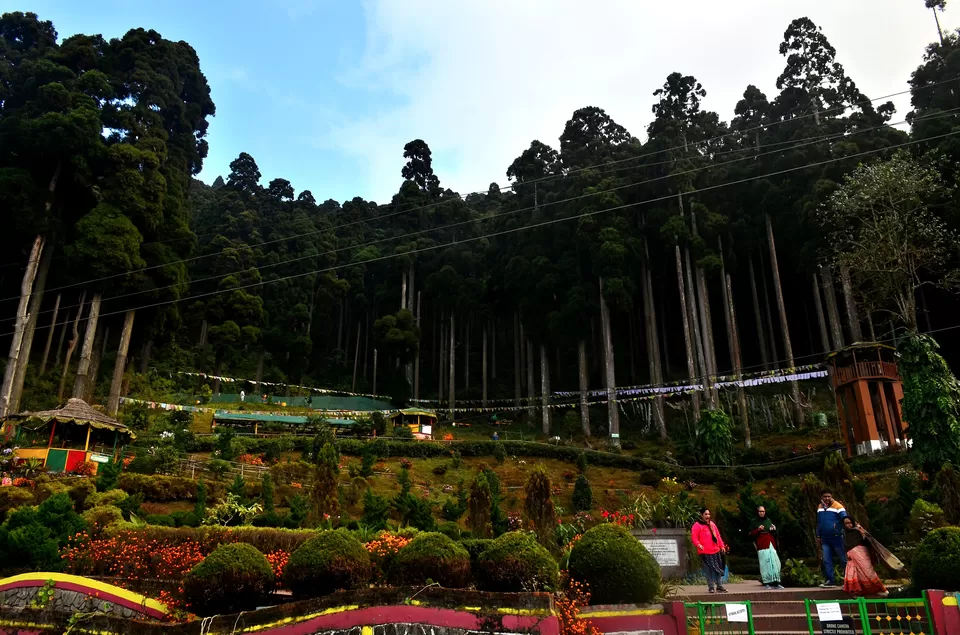 Photo of Lamahatta Eco Park, Tukdah, West Bengal, India by Bibek Chaudhuri