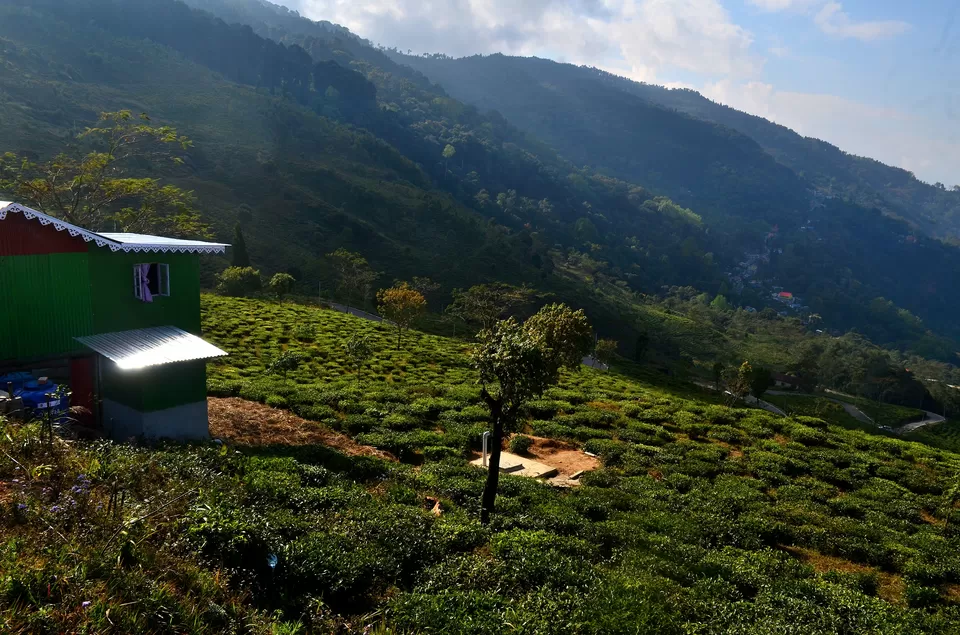 Photo of Gumbadara Viewpoint, Tinchuley Lopchu Road, Takdah, West Bengal, India by Bibek Chaudhuri