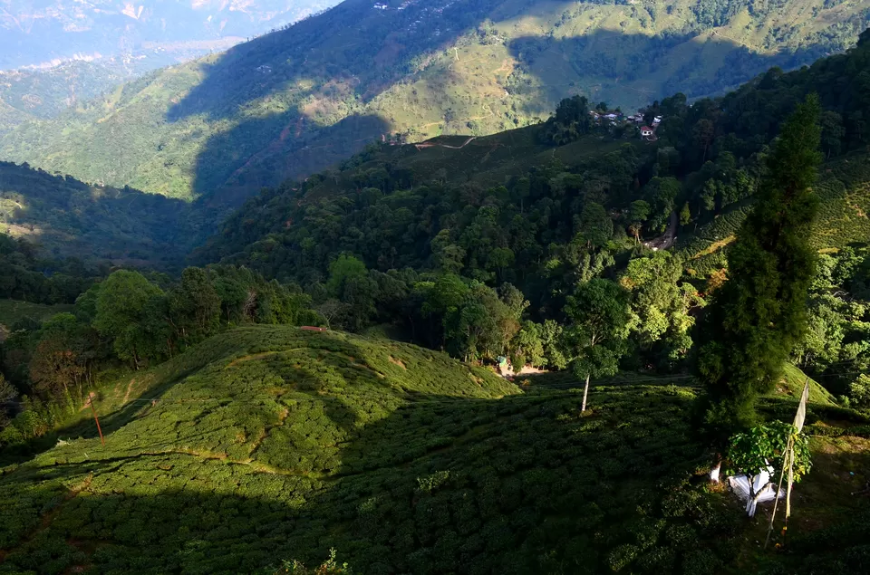 Photo of Darjeeling Ropeway (Opposite St Joseph School), Lebong Cart Road, Jawahar Parbat, Darjeeling, West Bengal, India by Bibek Chaudhuri