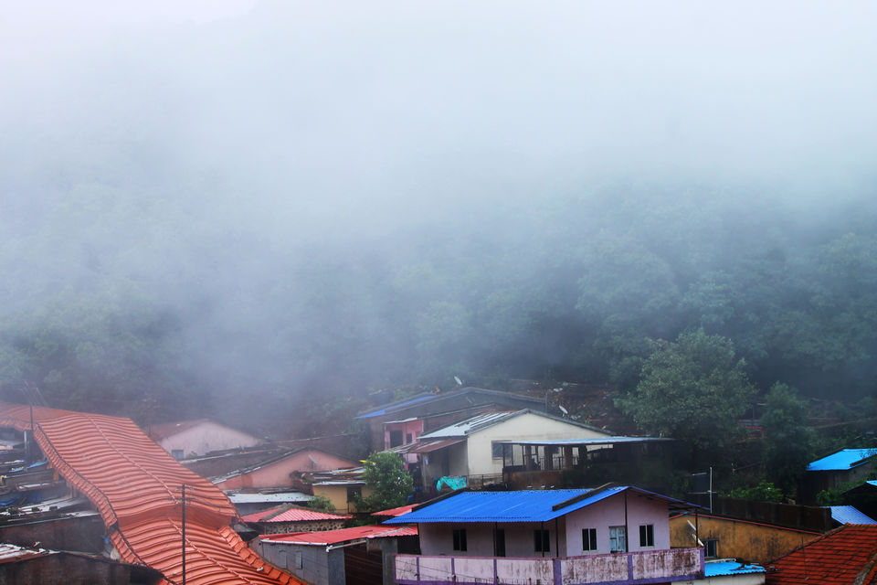 Photo of Bhimashankar 3/11 by Vishnu Kurupath
