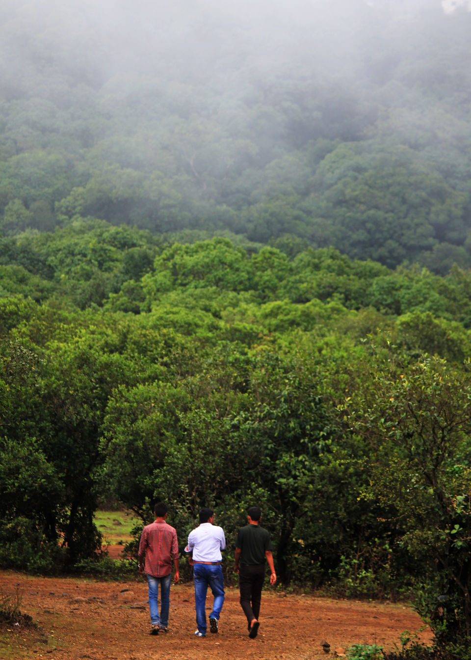 Photo of Bhimashankar 11/11 by Vishnu Kurupath