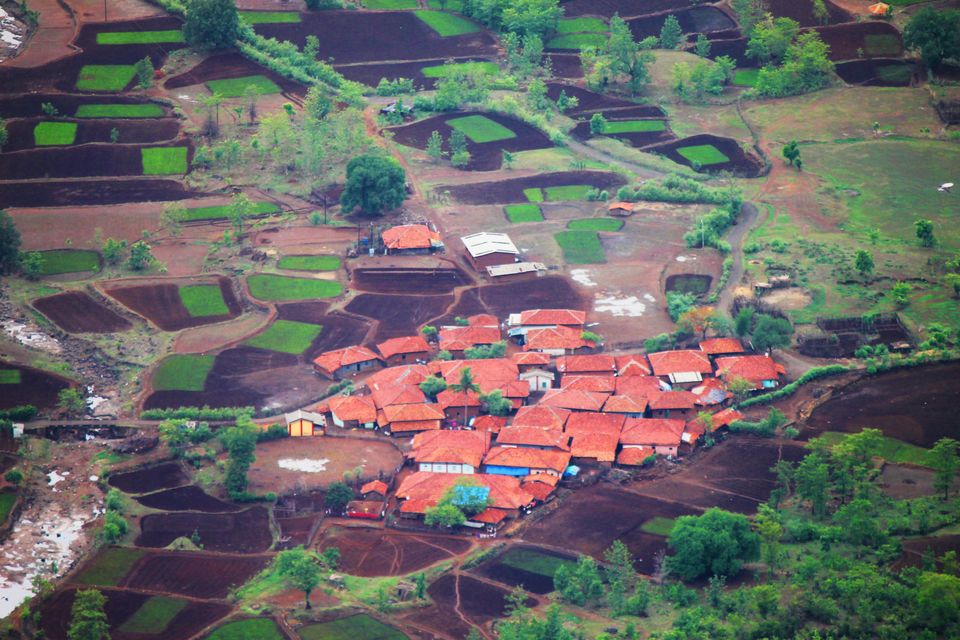 Photo of Bhimashankar 8/11 by Vishnu Kurupath